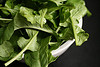 arugula, eruca sativa, roquette