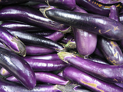 asian eggplant, solanum melongena