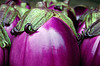 eggplant, grow